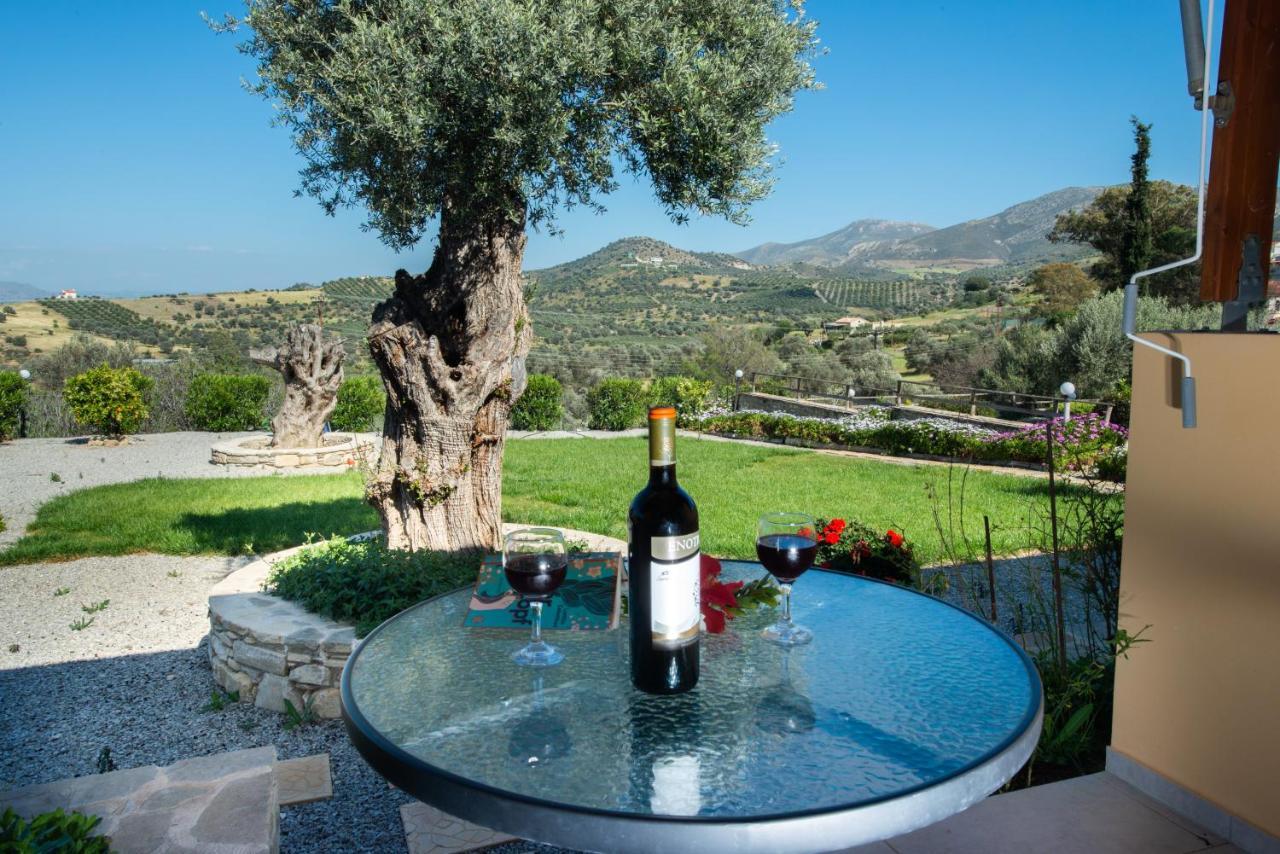 Sivas Apartments-Studios,Sigelakis With Very Nice View Exterior foto
